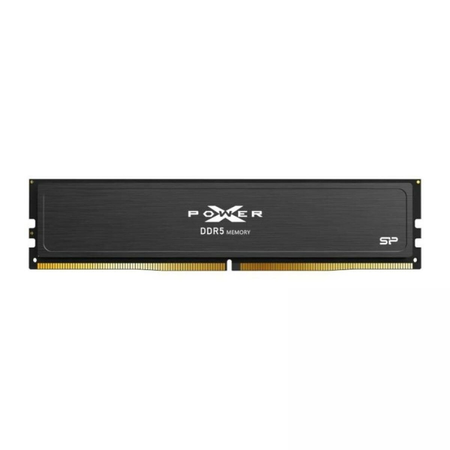 RAM-hukommelse Silicon Power SP064GXLWU560FDJ image
