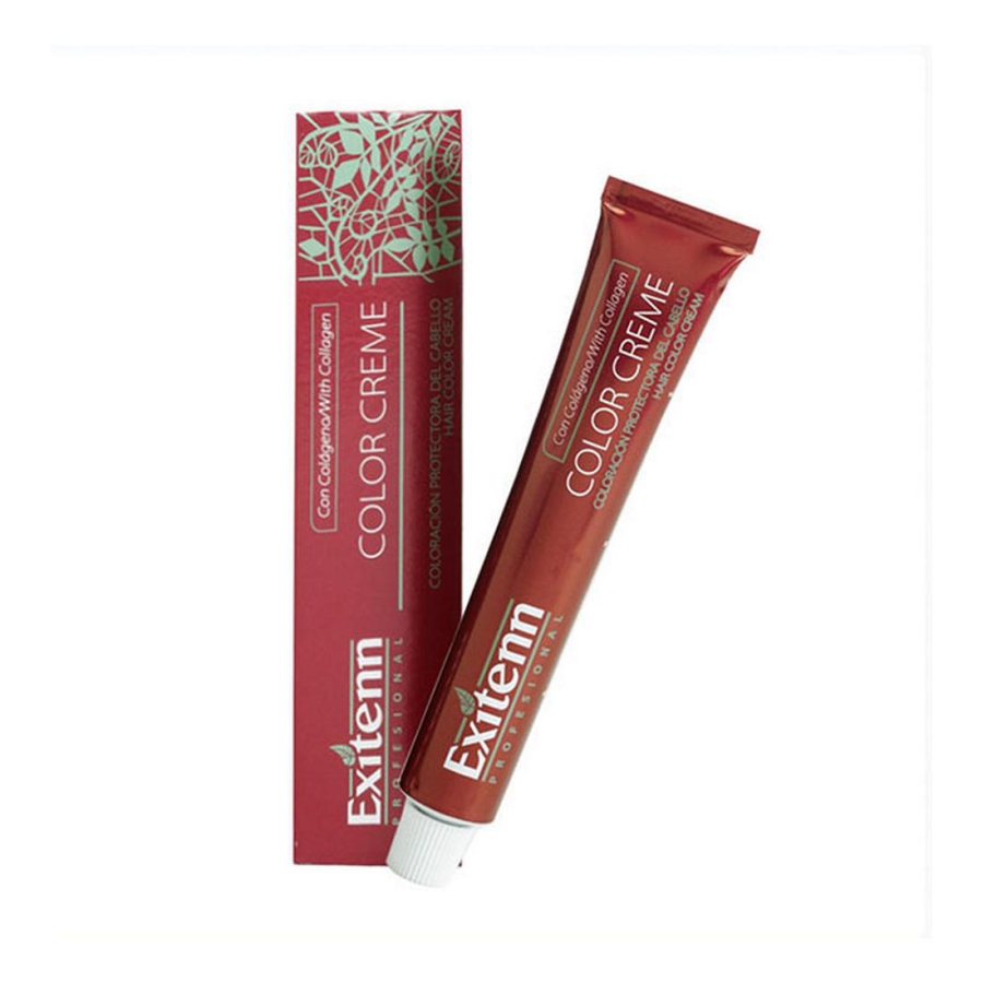 Permanent Farve Color Creme Exitenn Nº 562 Plum (60 ml) image