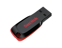 USB stick SanDisk SDCZ50-B35 USB 2.0 Sort USB-stik
