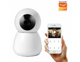 IP-kamera Denver Electronics IIC-215