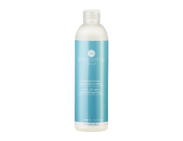 Fugtgivende shampoo Innosource Innossence 2886 (300 ml)
